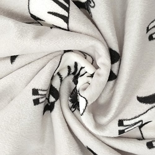 Boritar Baby Receiving Blanket Super Soft Minky with Double Layer Dotted Backing, Lovely Zebra Printed 30"x40"