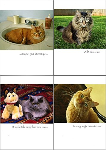 CAT LOVERS HILARIOUS BIRTHDAY CARDS - INCLUDES MANY CAT THEMES - 48 CARDS {jg}-NOTECARDS WITH ENVELOPES,ORGANIZER, , ASSORTED CARDS,HALLMARK,AMERICAN GREETINGS - Thumbnail 4