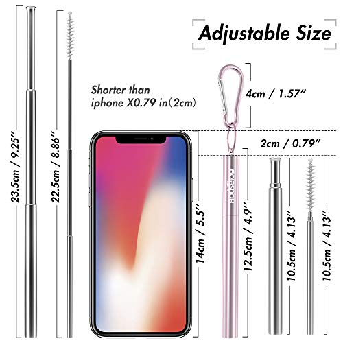 Reusable Straws - 2 Pack Telescopic Straws Stainless Steel Metal Drinking Straw (Black/Rose Gold)