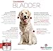 Pet Parents® Bladder SoftSupps® Cranberry Supplement for Dogs with Pacran, D-Mannose for Dogs & Pumpkin Seeds for Dogs for Dog UTI Support, Dog Incontinence Support, & Kidney Support for Dogs, 90ct