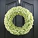 GTidea Spring Front Door Wreath Artificial Silk Hydrangea Flowers Garland Home Office Wedding Wall Decor 14-15 Inch Green
