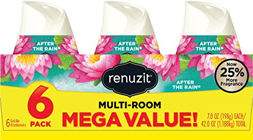 Renuzit Adjustable Air Freshener Gel, After the Rain, 7 Ounces (6 Count)