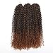 Kinky Curl 12 Inch Afro Kinky Twist Hair Soft Synthetic Crochet Braiding Hair Extention (12inch T30)