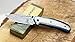 Buckshot Knives Thumb Open Spring Assisted Stainless Steel Titanium Handle with 3D Etched Inlay, Etched Damascus Wave Blade Pocket Knife (PBK215BL)