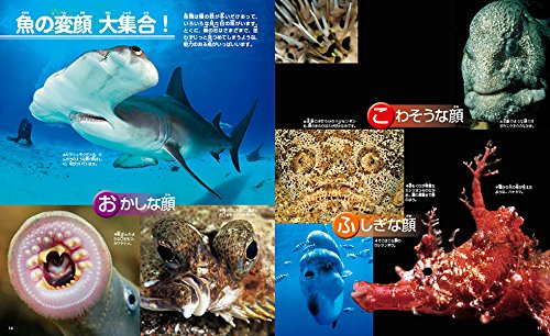 魚 新訂版 講談社の動く図鑑move Amazon Com Books