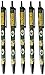 NFL Green Bay Packers Disposable Black Ink Click Pens, 5-Pack
