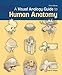 A Visual Analogy Guide to Human Anatomy