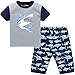 Hugbug Boys Shark Pajamas Set 2-7T