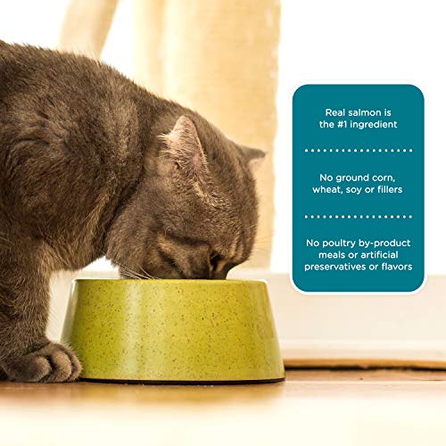 Rachael Ray Nutrish Premium Natural Dry Cat Food, Real Salmon & Brown