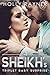 The Sheikh's Triplet Baby Surprise (The Sheikh's Baby Surprise Book 3)