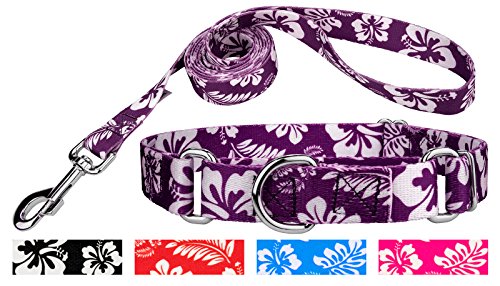 Country Brook Design Purple Hawaiian Martingale Dog Collar & Leash - Small