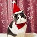 Bolbove Pet Adjustable Christmas Santa Hat + Scarf for Small Dogs & Cats Holiday Accessory (Free Size)