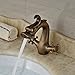 Rozin Dragon Design 2 Knobs Bathroom Basin Faucet Single Hole Lavatory Sink Mixer Tap Antique Brass