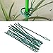ICYANG 100pcs 6.7″ Adjustable Plastic Plant Ties for Garden Tree Climbing Support, Flexible Plastic Cable Ties, Reusable, Greenthumb 1