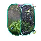 Qingo Collapsible Insect and Butterfly Habitat cage Terrarium Pop up Open - 23.6 Inches Tall