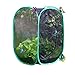 Qingo Collapsible Insect and Butterfly Habitat cage Terrarium Pop up open - 23.6 Inches Tall (White) (Black)
