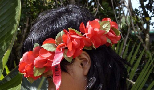 The Red Hawaii Elastic Headband