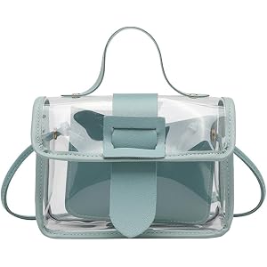 Clear Transparent Crossbody Bag, Mini Top-Handle Satchel with Detachable Strap