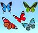 Quotidian Products Butterfly Window Clings-20xAnti Collision Decal to Prevent Bird Strikes on Doors & Windows-Static,UV Resistant & Non Adhesive Vinyl Cling Deterrent Decal & Glass Decor to Alert Bird