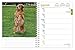 Golden Retrievers 2020 6 x 7.75 Inch Weekly Engagement Calendar, Animals Dog Breeds Retriever