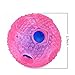 Airsspu Interactive Dog Toy - IQ Treat Ball Food Dispensing Toys for Small Medium Large Dogs Durable Chew Ball - Nontoxic Rubber and Bouncy Dog Ball - Ball Shape Design Cleans Teeth