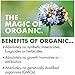 Cascadian Farm Organic Ancient Grains Granola, Whole Grain Oats, 12.5 oz (Pack of 6)