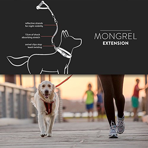 image for EzyDog Mongrel Bungee Dog Leash Rope Extension - 24 Inch Shock-Aborbin