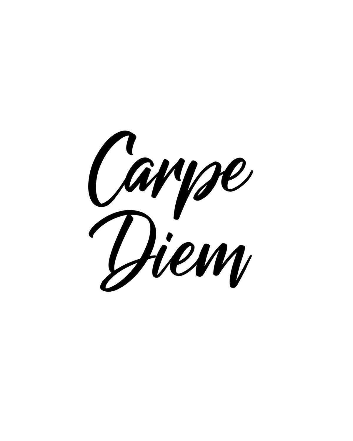 carpe diem inspirational quote wall art decor print 8x10 unframed print