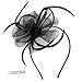 Fascinator Feather Fascinators for Women Holdoor Flower Feather Headband Headwear with Hair Clip for Wedding Party Prom Tea Party Cocktail Church Derby Ladies Day Race Royal Ascot,Mother's Day Gift (Black02)M