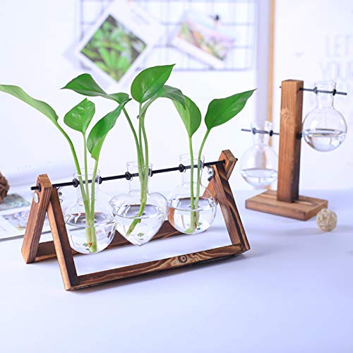 XXXFLOWER Plant Terrarium with Wooden Stand, Wall Hanging Glass Planter