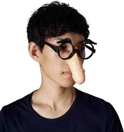 funny nose glasses