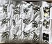 License Plate Screws 76 pc. Super Stainless Steel Screws Assortment to Fit Most All Vehicles, for Chrome and Black License Plate Frame, Screw Covers Included. This Screw Assortment Will Not Rust
