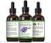 SVA Organics Lavender Essential Oil - Big 4 Ounce