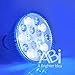 ABI LED Aquarium Light Bulb, 23W Blue and White PAR38
