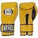 Cleto Reyes Hook & Loop Training Gloves