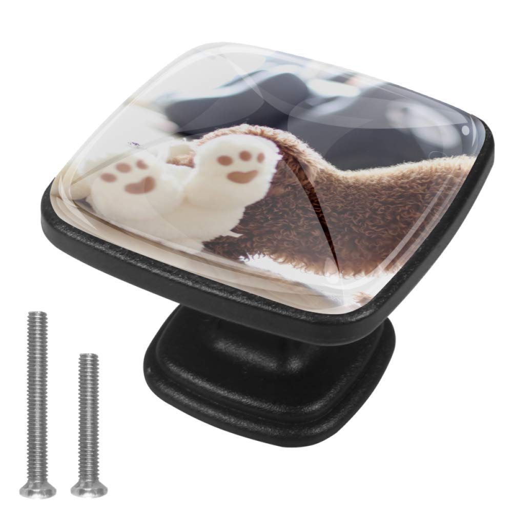 Schrankknöpfe und zieht Hund und Teddybär Schrankknöpfe Bunte