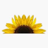AS Half Sunflower Vinyl Waterproof Sticker - 5 Inch Decal for Car, Truck, SUV, Laptop, Window, Bumper, Wall | Durable Floral Auto Sticker