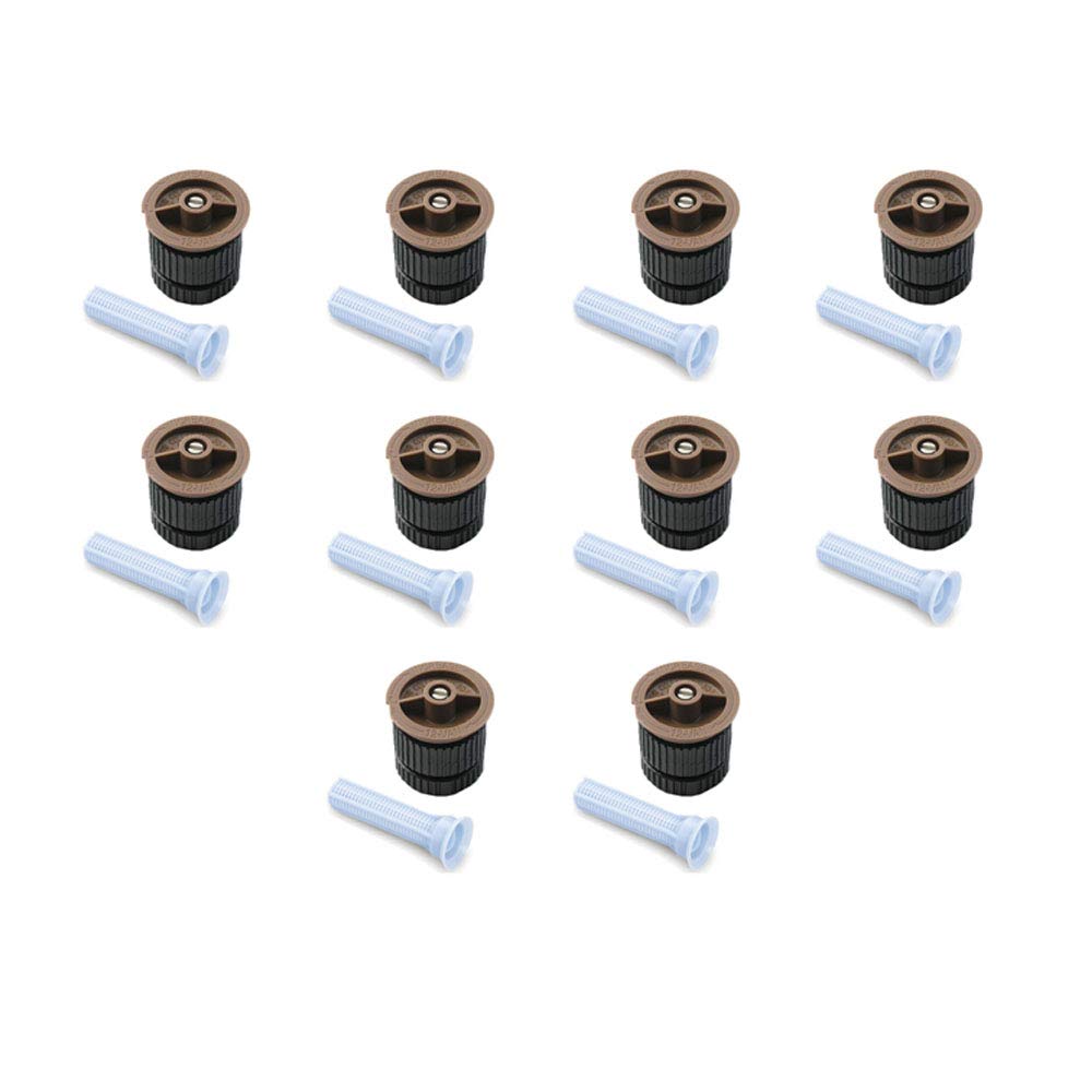 Head 12 Van- Rain Birb