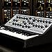 Moog Sub Phatty 25-Key Analog Synthesizer