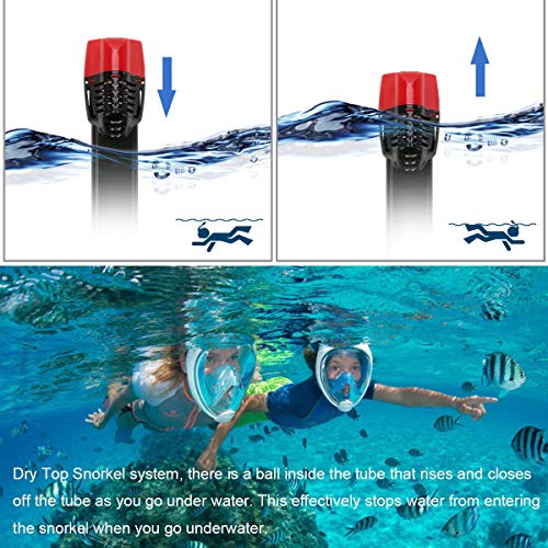 BFULL Snorkel Mask Full Face 180° Panoramic Sea View Anti-Fog Anti-Leak Snorkeling Mask with Action Camera Mount and Soft Adjustable Head Straps for Kids and Adults (Black-Red, S/M)