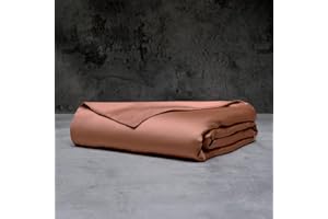 LUXOME Luxury Duvet Cover | Oversized Fit | 100% Viscose from Bamboo | Silky Soft Feel | Thermal-Regulating | 2X Cover Ties | King/Cal King - 108"x98" | Terracotta