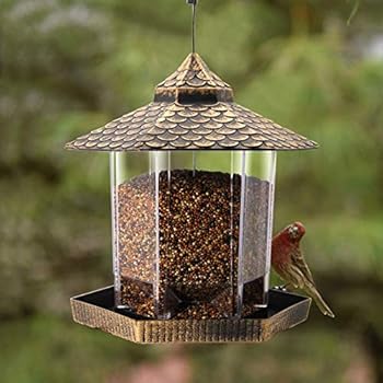 Amazon Com Perky Pet C00322 Red Cardinal Bird Feeder Wild Bird