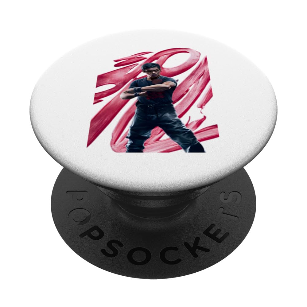 Party Security PopSockets Swappable PopGrip