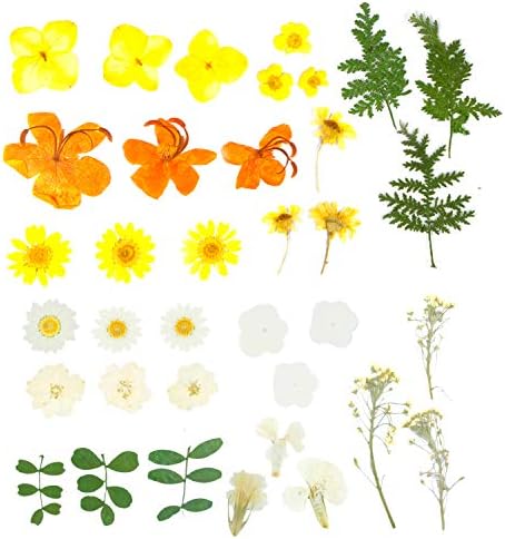 押し花 乾燥シート ドライフラワー 手芸 キット ４色からお選びください ブリザードフラワー バー