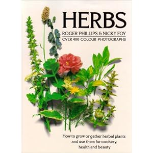 Herbs (Pan Original)