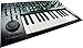 Roland SYSTEM-1 PLUG-OUT Synthesizer, 25-key