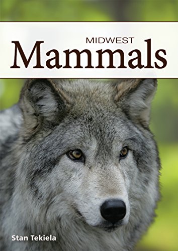 Mammals of the Midwest Playing Cards (Nature's Wild Cards) by Stan Tekiela