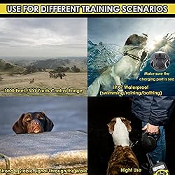 Lalolee Dog Training Collar, IPX7 Waterproof Shock