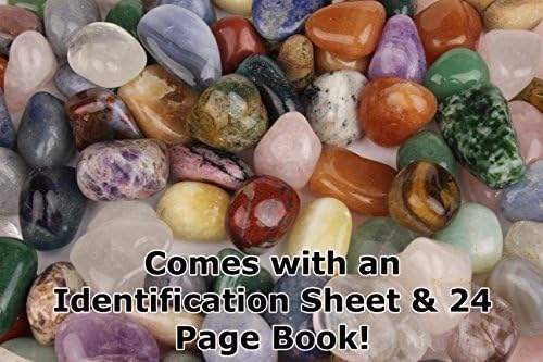 2 Pounds Tumbled Polished Natural Gem Stones + Educational ID Sheet & 24 page Rock & Mineral Book. Stone Average Size ?inch. Choose 1, 2, 5, 11 or 22 Pounds. by Dancing Bear