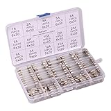 250pcs Quick Blow Glass Tube Fuse Assorted Kit 250V 1A, 2A, 3A, 5A, 6A, 7A, 8A, 10A, 15A,20A, 6x30mm, 250V 1A, 5A, 10A, 15A, 20A, 5x20mm Ted Lele (5x20mm and 6x30mm)